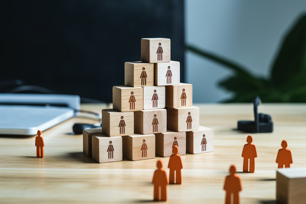 強(qiáng)化集團(tuán)管控：財(cái)務(wù)，人力資源，信息技術(shù)的整合