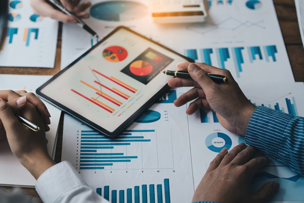 集團(tuán)內(nèi)部控制：完善內(nèi)部控制體系，確保集團(tuán)合規(guī)運(yùn)營(yíng)