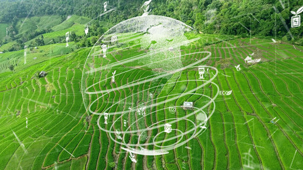 制定年度經(jīng)營計劃:實現(xiàn)可持續(xù)發(fā)展目標 制定年度經(jīng)營計劃:實現(xiàn)可持續(xù)發(fā)展目標