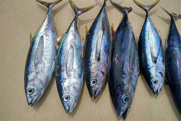 商務(wù)部：將幫助外貿(mào)企業(yè)擴(kuò)寬內(nèi)銷渠道，政策解讀！